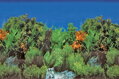 SF DECO POSTER B 100 X 49 CM