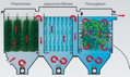 POLY TECH MOVE FILTER 100