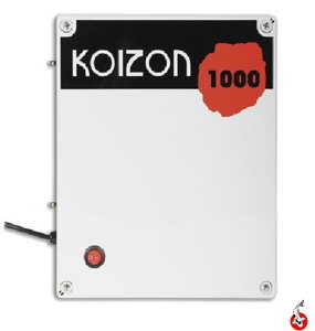 Čo je ozonizátor?