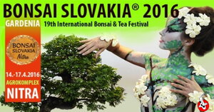 Bonsai Slovakia 2016