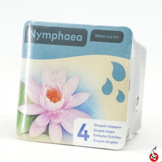 Nymphea dry blister Rose H