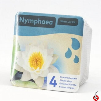Nymphea dry blister White H