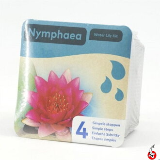 Nymphea dry blister Red H