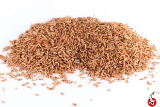 Gammarus 1,1L