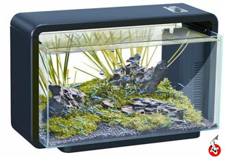 SF HOME 30 AQUARIUM čierne