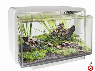 SF HOME 30 AQUARIUM biele
