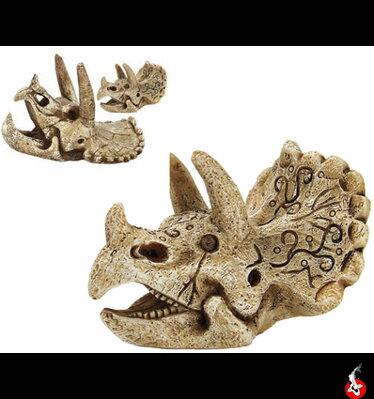  skull triceratops S 8x7x6cm