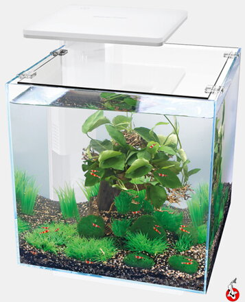 SUPERFISH QUBIQ 30 PRO Biele
