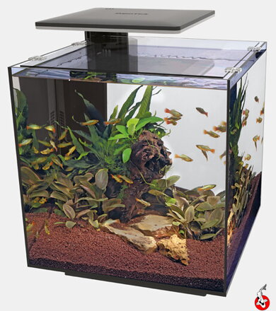 SUPERFISH QUBIQ 60 PRO Čierne