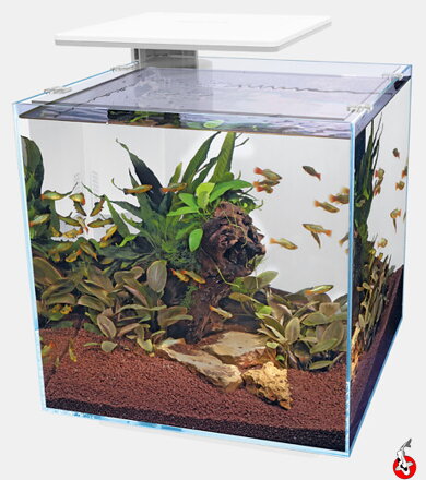  SUPERFISH QUBIQ 60 PRO Biele