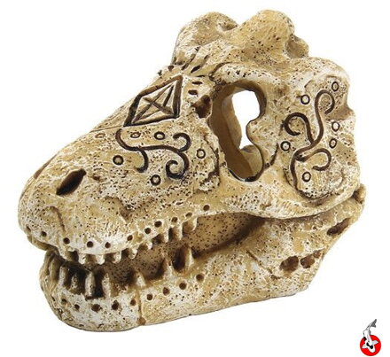  skull T-REX S 8x6x6cm