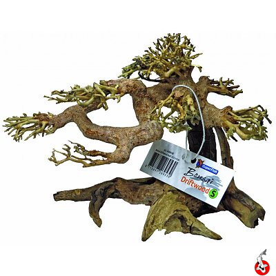 BONSAI DRIFTWOOD SMALL