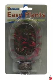 E.PLANTS SMALL13CM NR. 7