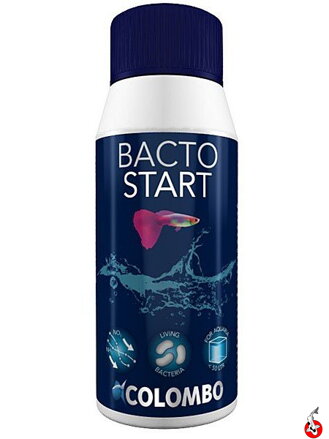 COLOMBO BACTO START 100ML (100L)