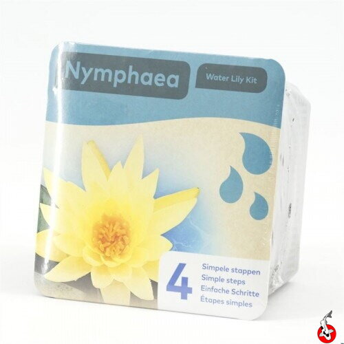 Nymphea dry blister Yellow H