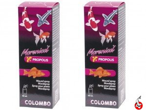 Colombo Propolis Spray na rany 50ml Colombo Propolis Spray na rany 50ml